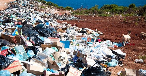 A barnamezős területek a gondozatlanságuk okán a lokális környezetszennyezés első számú okai.